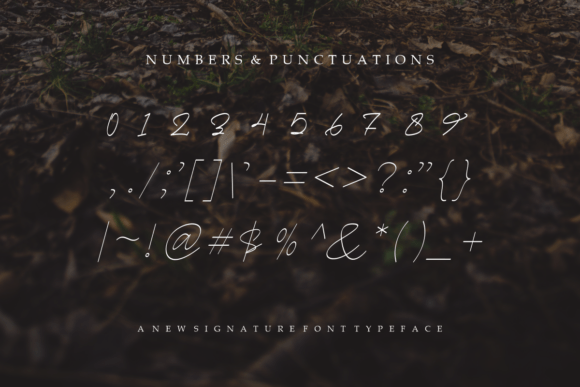 Mast Child Signature Font PNG with transparent background - Preview 3