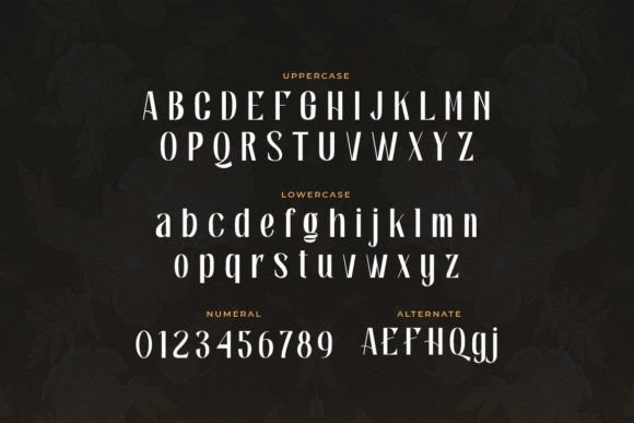 Beniqno Font - Preview 1
