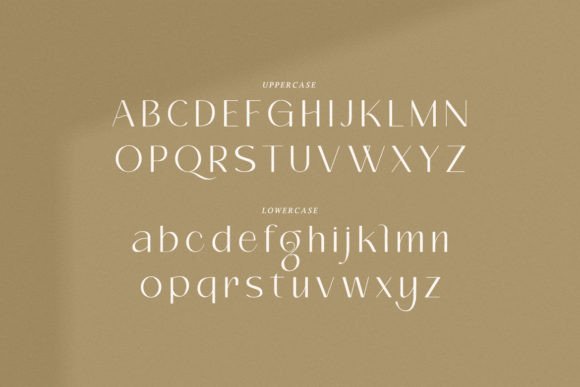 Cerdy Font - Preview 1