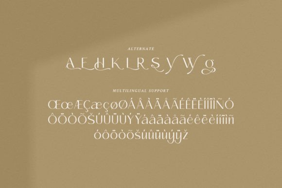 Cerdy Font - Preview 3