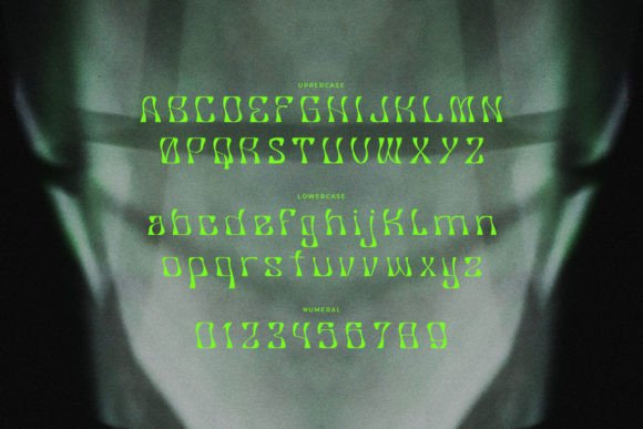 Macauley Font PNG with transparent background - Preview 1