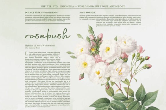 Anthology Font - Preview 5