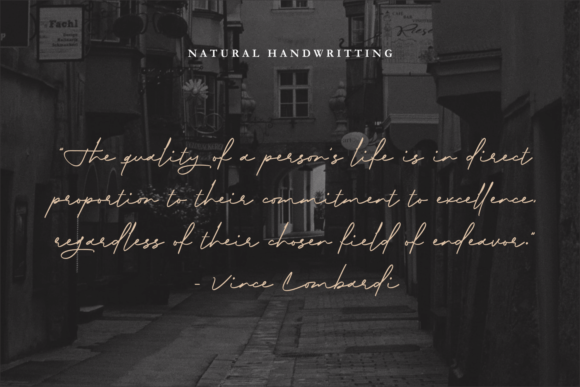 Biography Font - Preview 4