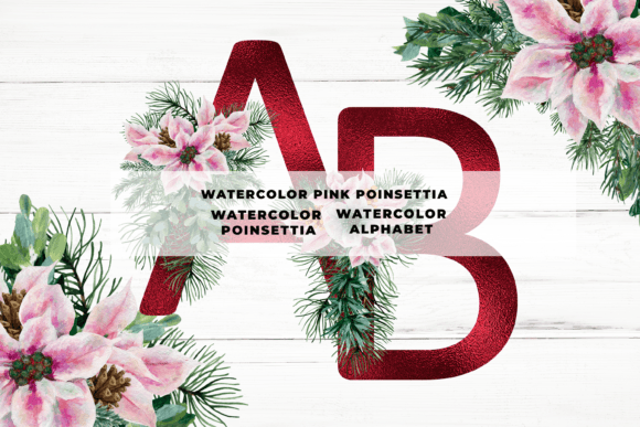 Pink Poinsettia Alphabet Graphic Illustrations By Andreea Eremia Design