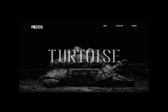 Priestess Font font preview - 5
