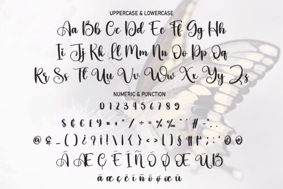 Beautiful Butterfly Font - Preview 6