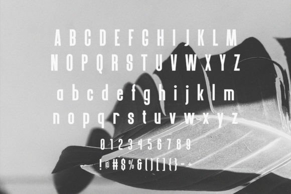 Brownland Font - Preview 5