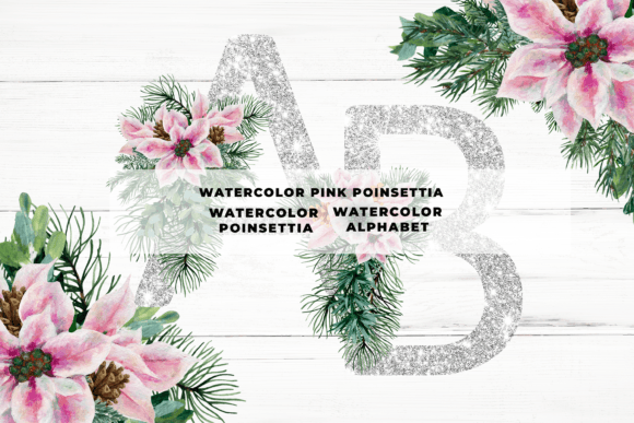Pink Poinsettia Alphabet Graphic Illustrations By Andreea Eremia Design