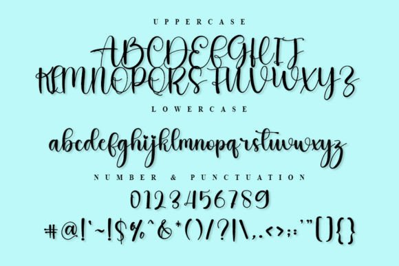 Family Font - Preview 4