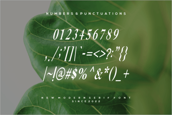 Qurpaartno Font PNG with transparent background - Preview 3