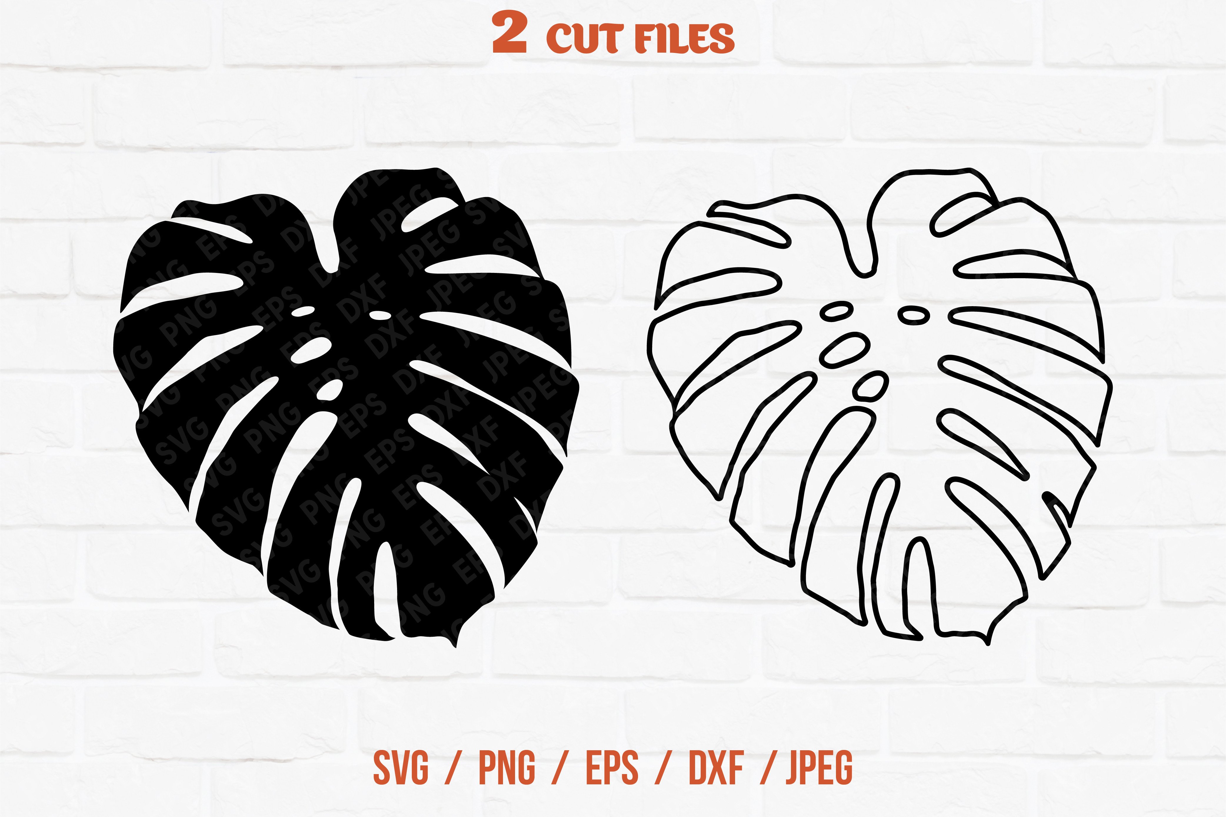 Monstera Leaf Svg Graphic by VitaminSVG  Creative Fabrica