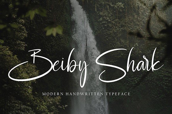 Delira Ruth Font - Preview 1