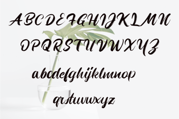 Montiran Font PNG with transparent background - Preview 4
