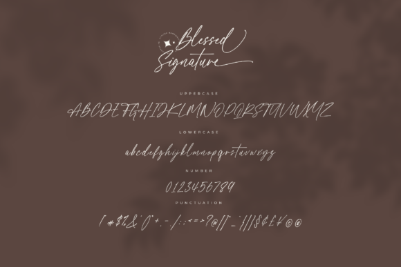 Blessed Signature Font - Preview 3