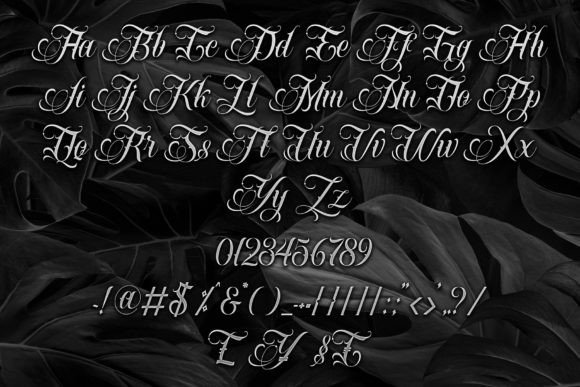 Bougenville Font - Preview 5