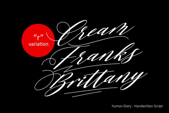 Human Diary Font - Preview 1