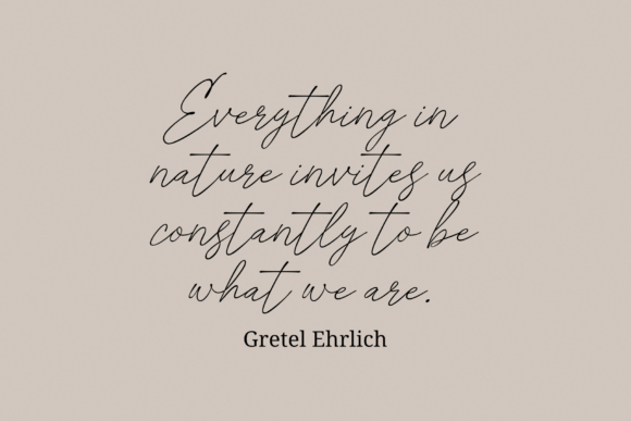 Adeptly Font - Preview 4