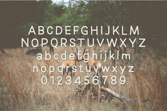 Rubbing Font PNG with transparent background - Preview 1
