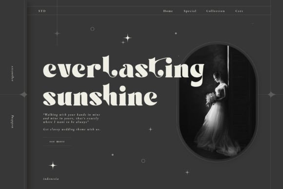Aves Font - Preview 4