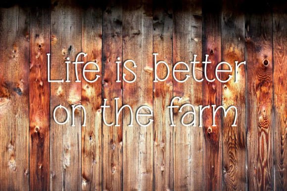 Barnyard Brunch Font - Preview 1