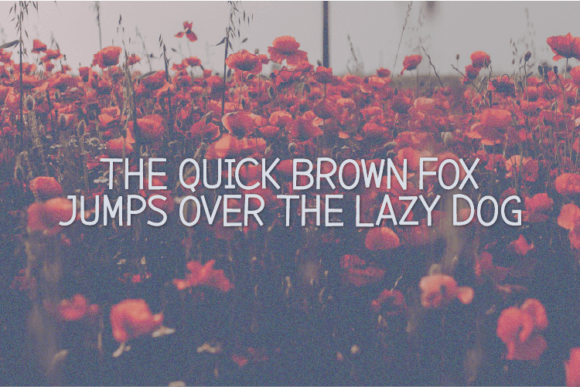 Behavioral Font - Preview 3