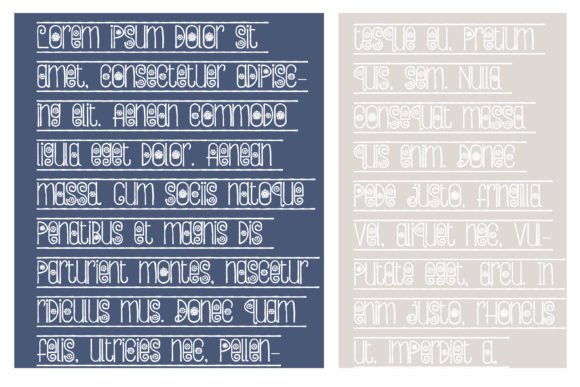 Bloomborder Font - Preview 3