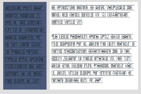 Bloomborder Font - Preview 6