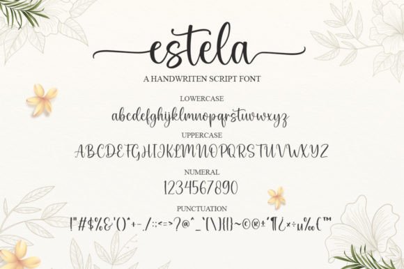 Estela Font - Preview 5