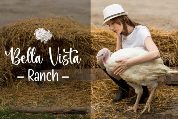 Rooster Farmhouse Duo Font PNG with transparent background - Preview 1