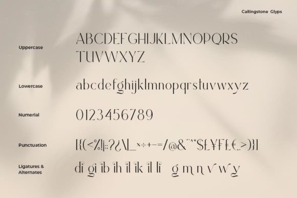 Callingstone Font - Preview 5