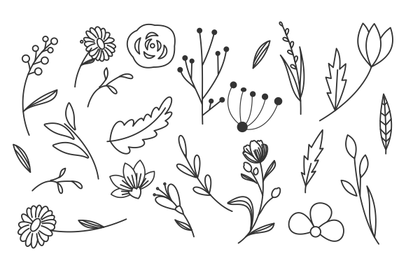 Hand Drawn Flower and Branches Doodle