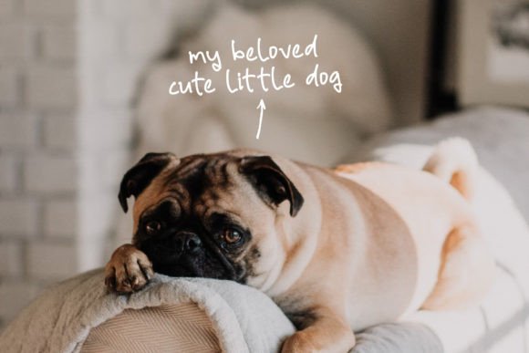 Rafley Notes Font PNG with transparent background - Preview 6