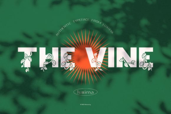 The Vine Display Font By Luxima Creative