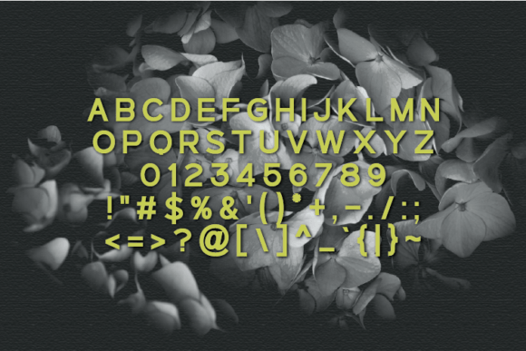 Flowering Font - Preview 2