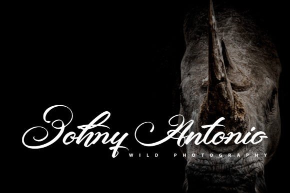 Beastype Font - Preview 2