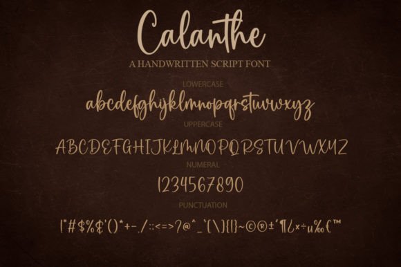 Calanthe Font - Preview 6