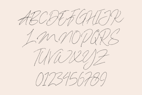 Dallem Signature Font - Preview 4