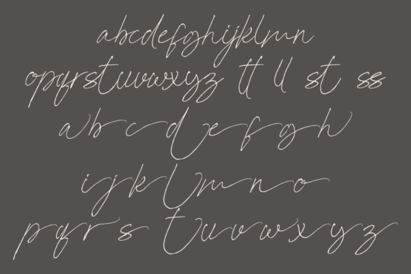 Dallem Signature Font - Preview 5