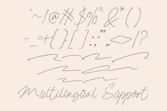 Dallem Signature Font - Preview 6