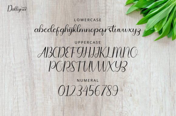Dallyna Font - Preview 3