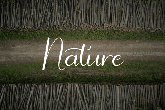 Dallyna Font - Preview 2