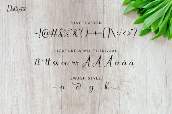 Dallyna Font - Preview 4