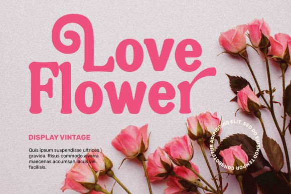 Nugia Vintage  Font PNG with transparent background - Preview 2