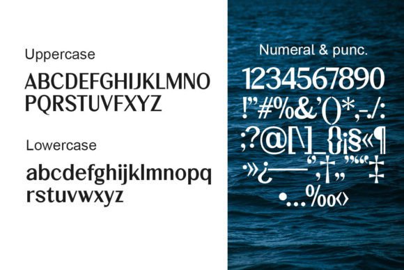 Roman Picisan Font PNG with transparent background - Preview 5