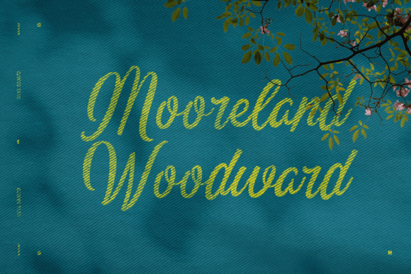 Almanor Peninsula Font PNG with transparent background - Preview 5