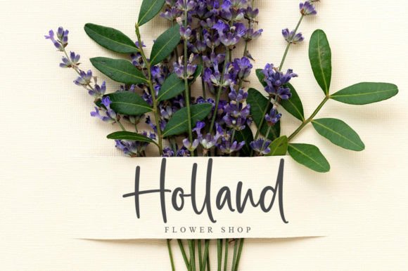 Bella Vista Font - Preview 4