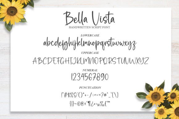 Bella Vista Font - Preview 5