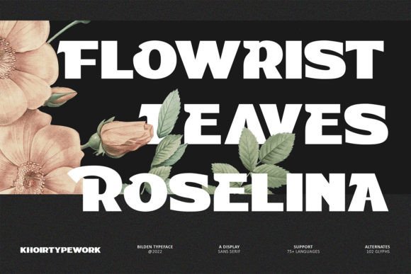 Bilden Font - Preview 1