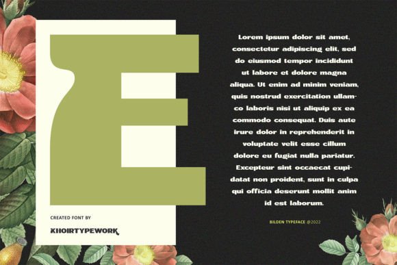 Bilden Font - Preview 5