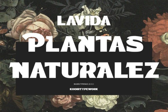 Bilden Font - Preview 6